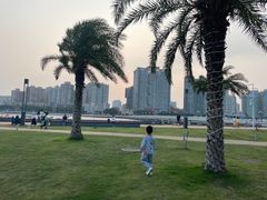 -野狸岛