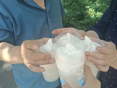 -萨朗刀克冰淇淋雪花凉(植物园店)