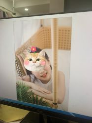 -憨大叔韩式儿童摄影(浦东新区店)