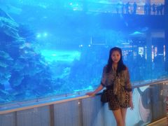 -迪拜水族馆及水下动物园