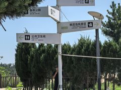 -日照海滨国家森林公园