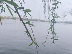 -长春市南湖公园