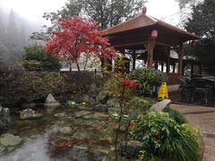 -黄山温泉国际旅游度假区