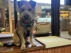 -Dough&Joe团憩(瑞虹天地月亮湾店)