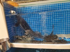 -星伦多自助料理·涮烤一体(杭州来福士店)