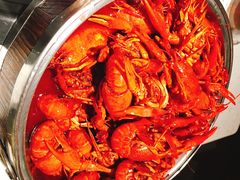 吮指腐乳小龙虾-京韵胡同·酱香羊蝎子火锅涮肉(长寿路店)
