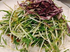 家烧花生苗-高老庄绿色传奇(昊元生活广场店)