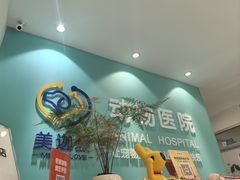 -美迦爱动物医院·夜诊(朝阳路诊疗中心)