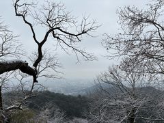 -灵顺寺