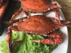 -老虎滩船说·海胆水饺·大连海鲜(老虎滩店)
