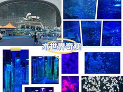 -海合安天津极地海洋公园