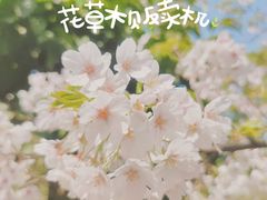 -南山植物园
