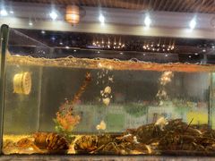 -巽寮印象美食部落餐厅·海鲜·地方特色菜(惠州体验店)