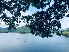 -阿哈湖国家湿地公园