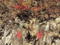 -关门山森林公园