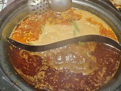 -生活如沸·顺德水牛奶火锅(大学路店)