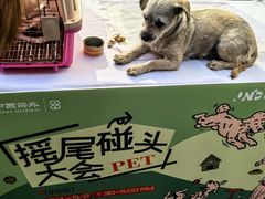 -中海环宇荟