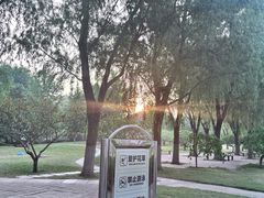 -莲花池公园