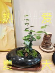-贝爱时刻月子中心(宝安妇幼店)