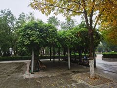 -中央戏剧学院(昌平校区)