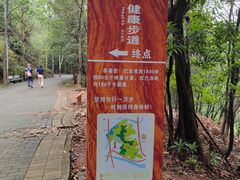 -滴水岩森林公园