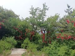 -崂山九水游览区