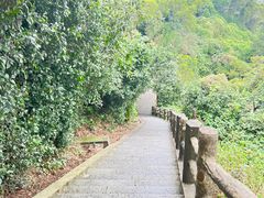 -海口火山口国家地质公园