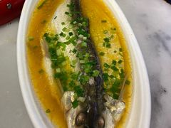 清蒸白鱼-京城小江南·北京烤鸭·江南土菜·白鱼(中关村店)