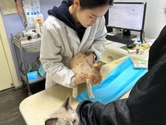 -宠颐生宠物医院(·宠保定点·鹰潭分院)