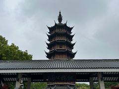 -红梅公园