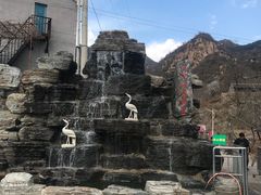 -大岭沟猕猴桃谷风景区