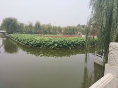 -大明幻境第一城