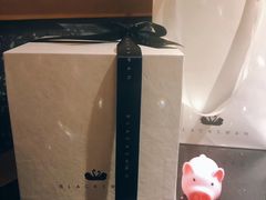 -BLACKSWAN黑天鹅(环球店)