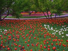 -长春公园(普阳街道)