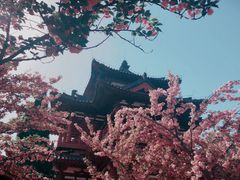-西安青龙寺遗址景区