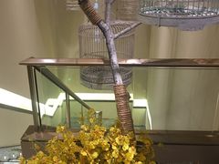 -小厨娘淮扬菜(诚信大道店)