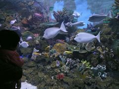 -常州海昌海洋探索馆