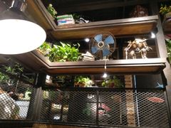 -探鱼·鲜青椒爽麻烤鱼(西南商都店)