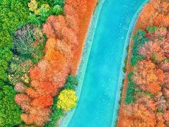 -贡湖湾湿地公园