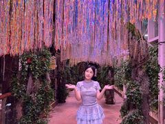 -正佳雨林生态植物园