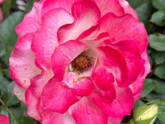 -人民公园(罗湖区)