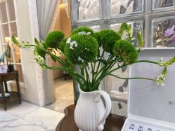 点击看大图 -露德瑪麗科技美肤·美迪迈·华熙生物
