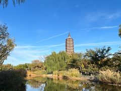 -西海子公园
