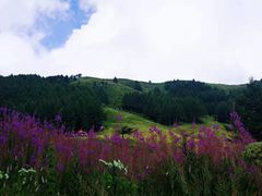 -驼梁风景区
