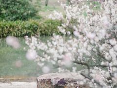 -无锡梅园公园