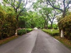 -白塘生态植物园