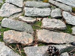 android_upload_pic-叶家花园