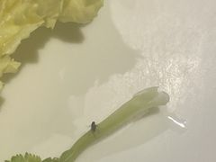 -海玥荟海鲜姿造自助餐厅(欧罗巴广场店)