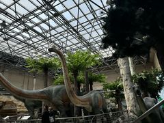 -国家自然博物馆