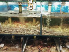 -来之顺海鲜菜馆·青岛菜(栈桥店)